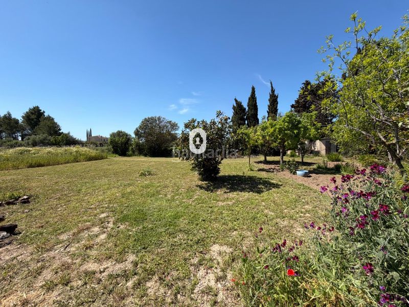 Foto 50da835e-1d1a-4eb4-a5c4-0918a36b37e2. Masia a Binissalem