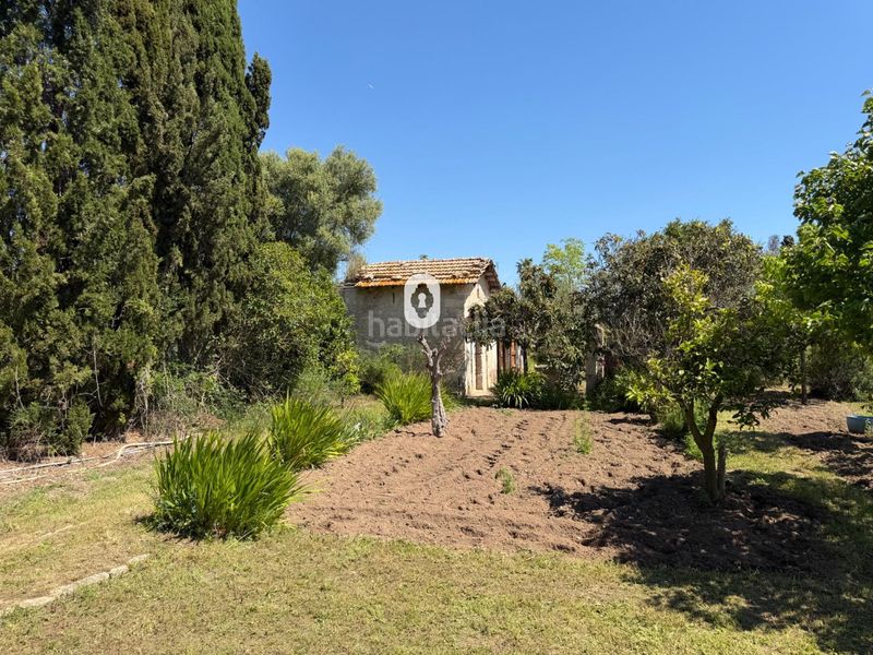 Foto 54dee529-d929-452d-bd88-bc0bab1d3df3. Masia a Binissalem