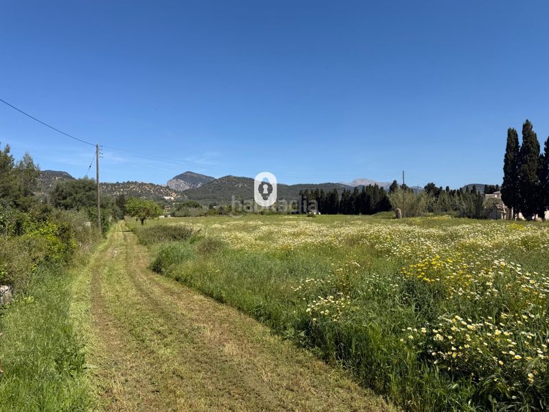 Foto 5c1ea862-b1b2-4206-ae98-5d1aa6f07e3b. Masia a Binissalem