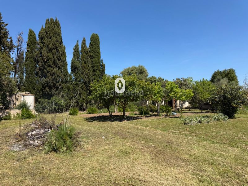 Foto 6219ee3a-5cf6-4dd9-a011-50c5d26afaf8. Masia a Binissalem