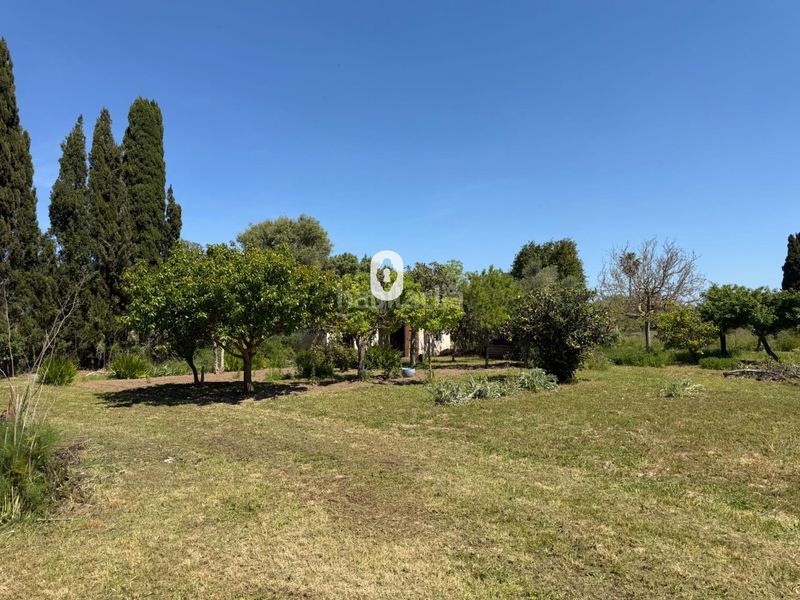 Foto 623ff848-5f3a-40db-9c4a-c90cf647b10a. Masia a Binissalem