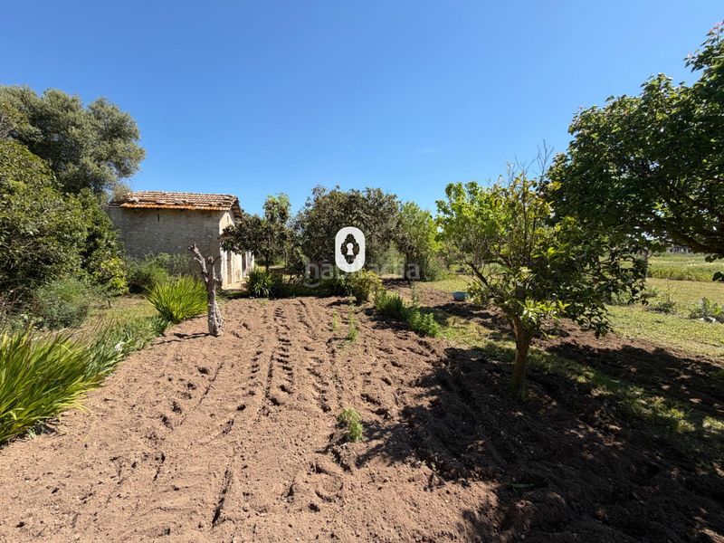 Foto 69537d3e-d067-40cb-b188-a48a51bff802. Masia a Binissalem