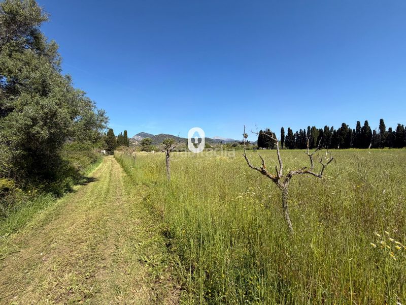 Foto 737f00aa-2449-4521-8d60-ab2fabfa7426. Masia a Binissalem