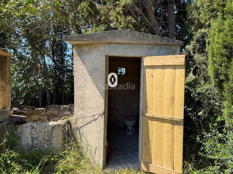 Foto 9692374c-7ecc-4409-92ed-c5411c0e5455. Masia a Binissalem