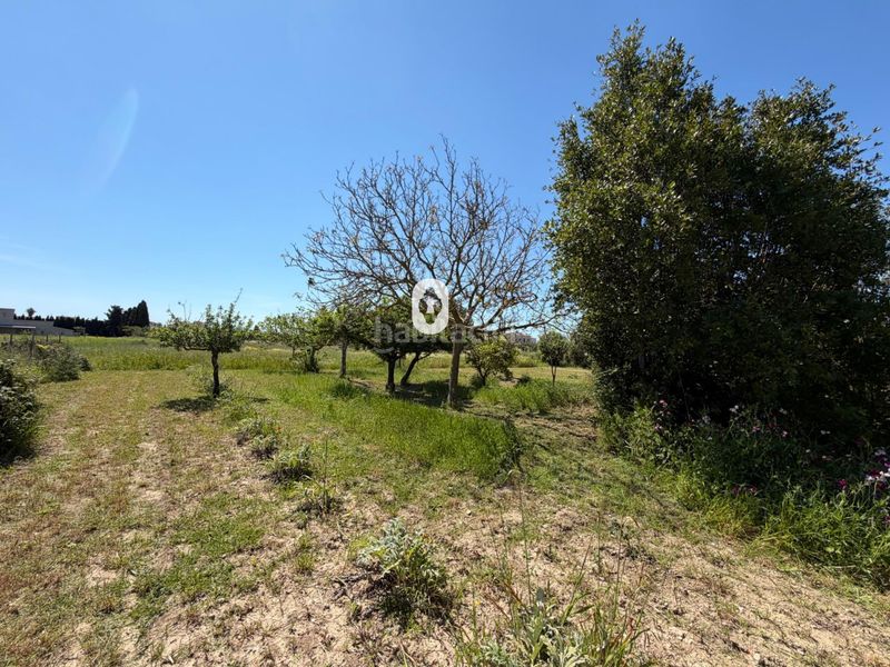 Foto b5571232-f4ee-4075-89cc-ae663d6344d0. Masia a Binissalem