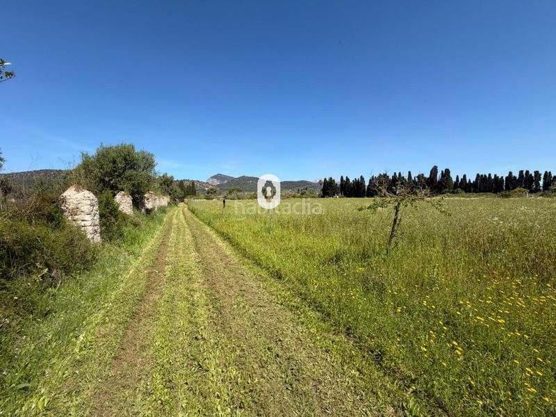 Foto e28356cf-7fa2-45e7-b116-52e4446fa7ba. Masia a Binissalem