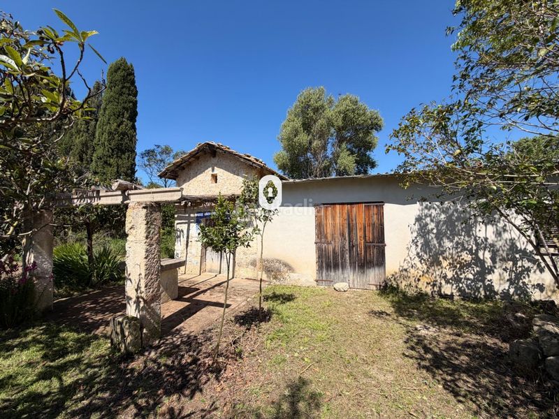 Foto e995f596-5f1a-45ec-8e84-ad33005cf5ae. Masia a Binissalem