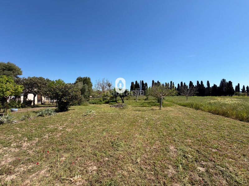 Foto f21cfd3a-2327-47e7-93e0-0876e5a9037a. Masia a Binissalem