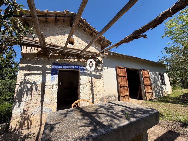 Foto f4cb98c8-980d-46d5-911d-d8576947a296. Masia a Binissalem