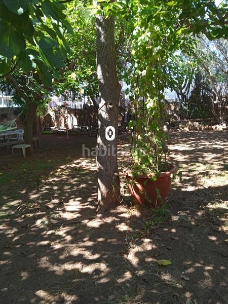 Foto 03e021ce-a422-4bd1-a15c-94891ce30b4a. Terreny residencial a Magaluf Calvià
