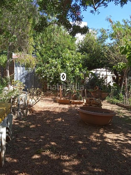 Foto 5d661735-065e-4a31-aeac-d3598992129d. Terreny residencial a Magaluf Calvià