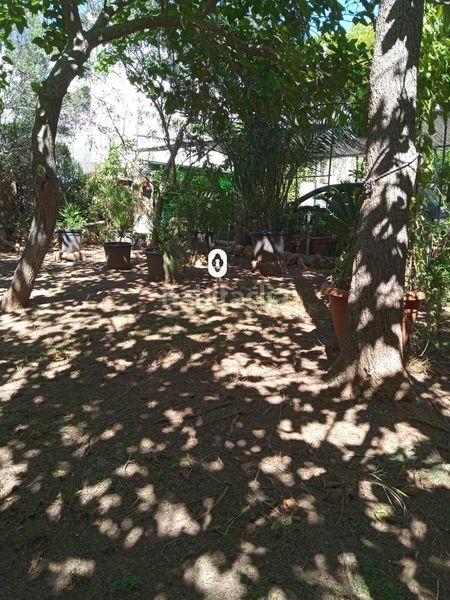 Foto ba5b7a70-6799-4f14-ae97-4e7323826477. Terreny residencial a Magaluf Calvià