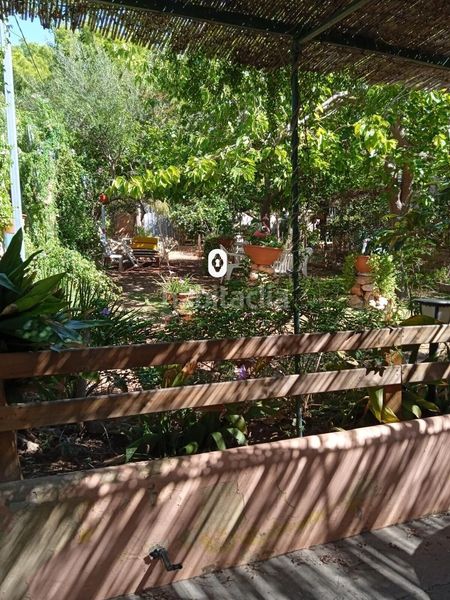 Foto ed517828-e27c-4895-b389-85e9dbdaebdd. Terreny residencial a Magaluf Calvià