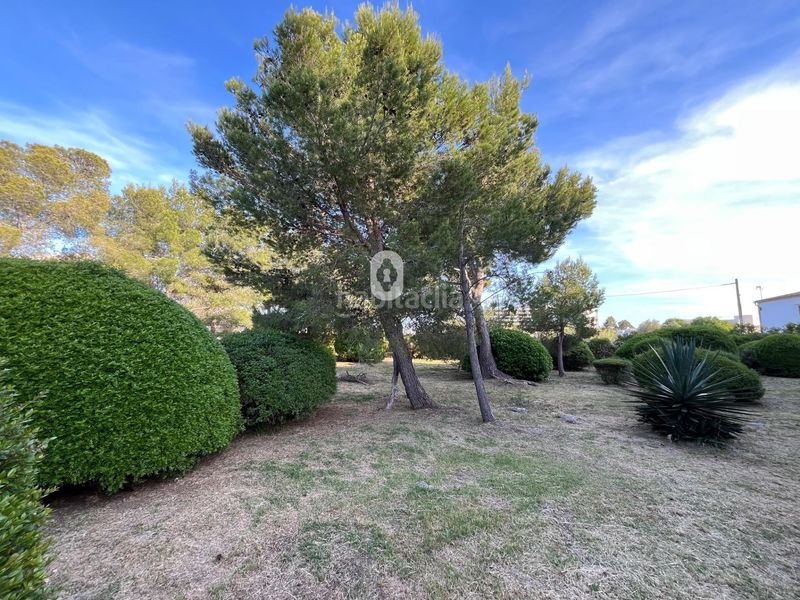 Foto a097410f-b784-457a-b898-de36c7d56405. Lloguer estudi a port de Pollença Pollença
