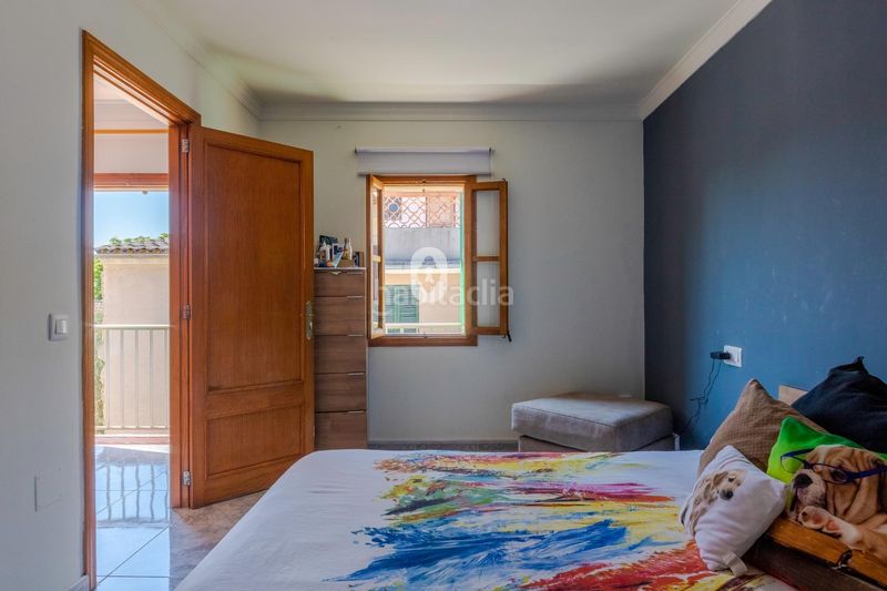 Foto a2949d4b-a2ce-495a-be35-945f6f51595e. Dachwohnung in Centro Inca