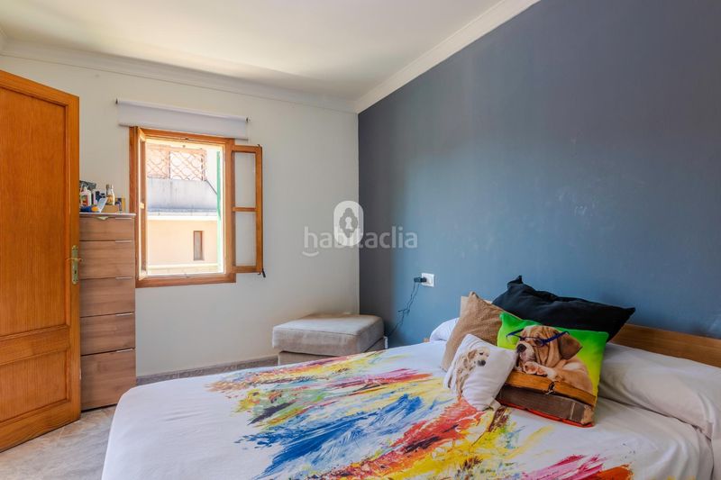 Foto ecad2b61-f589-451f-83ea-bddfe0e7fa9c. Dachwohnung in Centro Inca