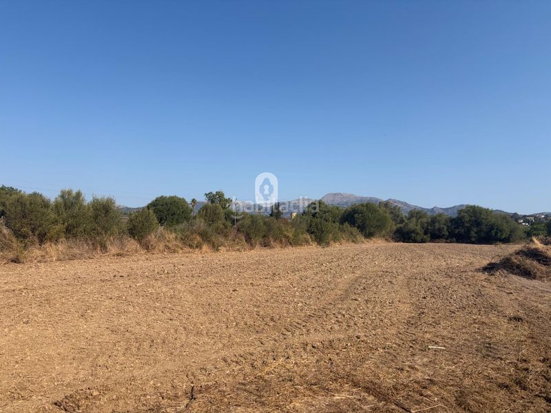 Foto 51b7b201-c988-4f6a-bc0b-9ff9803a64fe. Masia amb aparcament a Zona Periurbana Inca