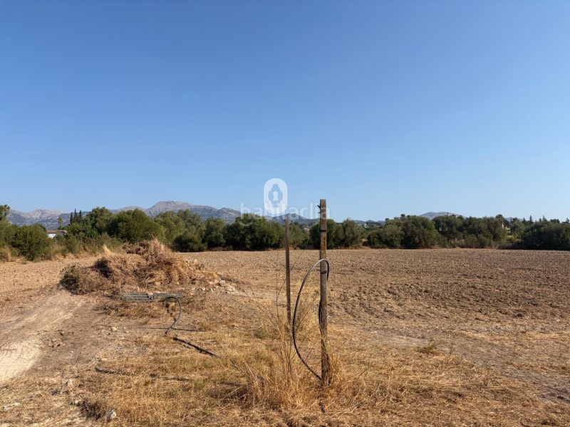 Foto a9395fc0-67e0-4b7c-a26e-28bfbeeadd97. Masia amb aparcament a Zona Periurbana Inca