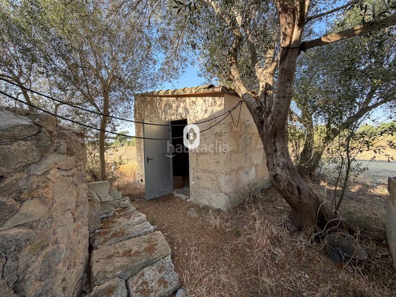 Foto c63cf05e-5ef5-48a8-b03a-bb8c3a7e7e35. Masia amb aparcament a Zona Periurbana Inca