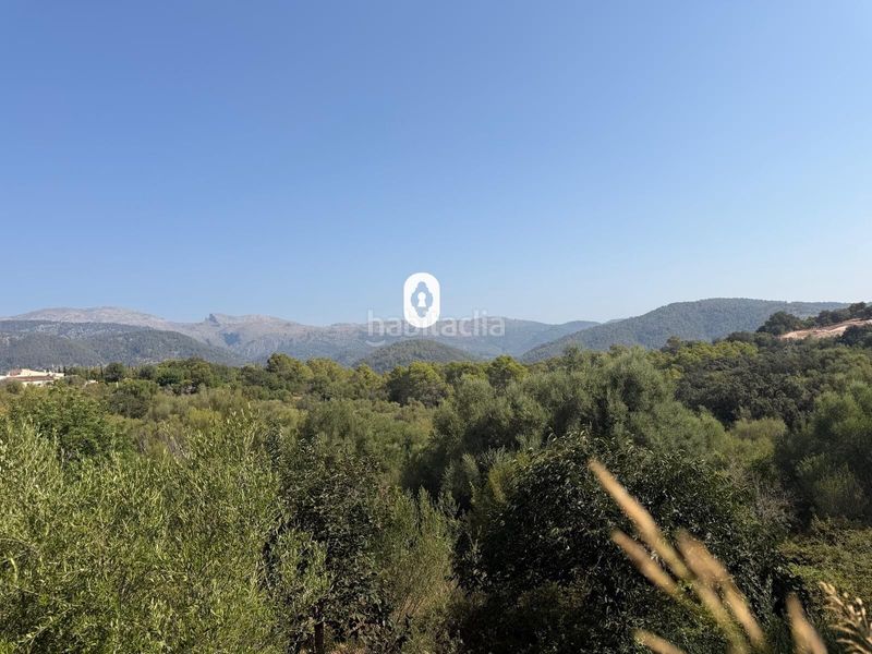 Foto 1f07c0c7-e738-4f56-85a2-27b3c56fbc04. Terreny residencial a Campanet
