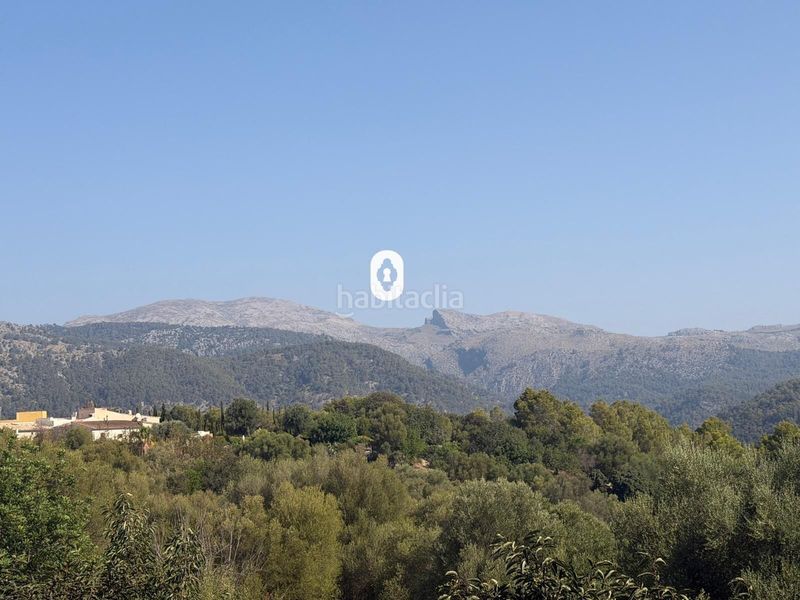 Foto c34bee12-ab49-497d-8883-68d2b0fc1514. Terreny residencial a Campanet