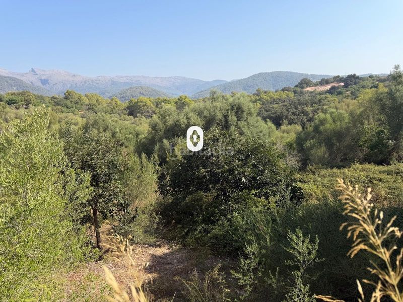 Foto cbe68578-823c-489d-abb1-8df0d0e49298. Terreny residencial a Campanet