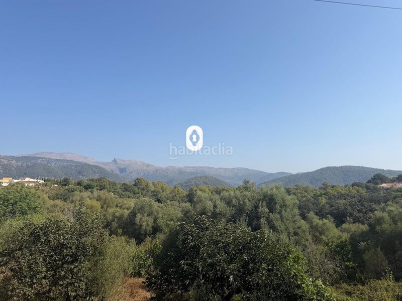 Foto da2a696c-6f2a-4dbc-83c1-ccf14cbee691. Terreny residencial a Campanet