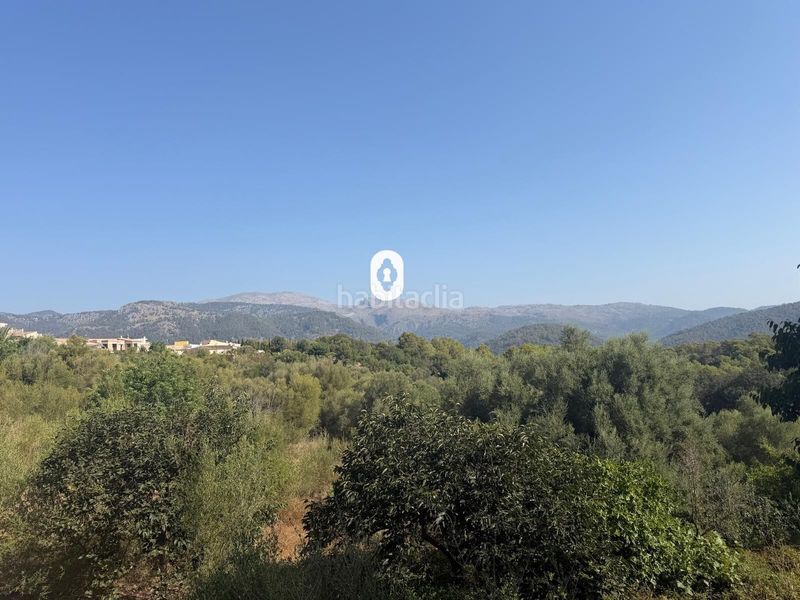Foto de2efb14-1703-44b9-adc3-ef8a4c3c90ee. Terreny residencial a Campanet