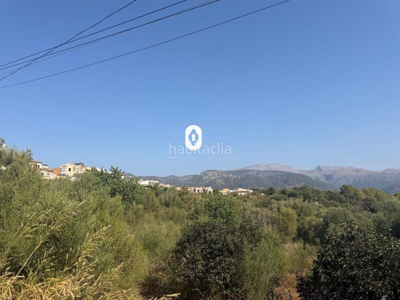 Foto decb5a24-f9e3-43ae-9b54-2210307ce7c0. Terreny residencial a Campanet