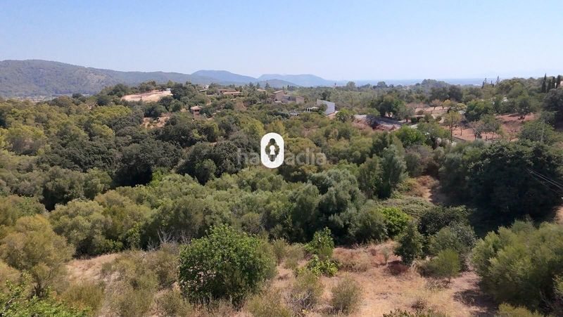 Foto e12fd20f-52e0-45a3-b01e-925cb605fbfe. Terreny residencial a Campanet