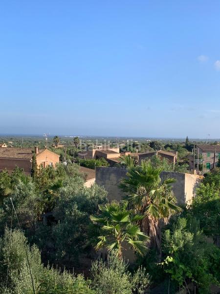 Foto a7fe48f3-6ba9-4b51-b409-727af84cbf28. Chalet  y solar en salqueria blanca con piscina en Santanyí