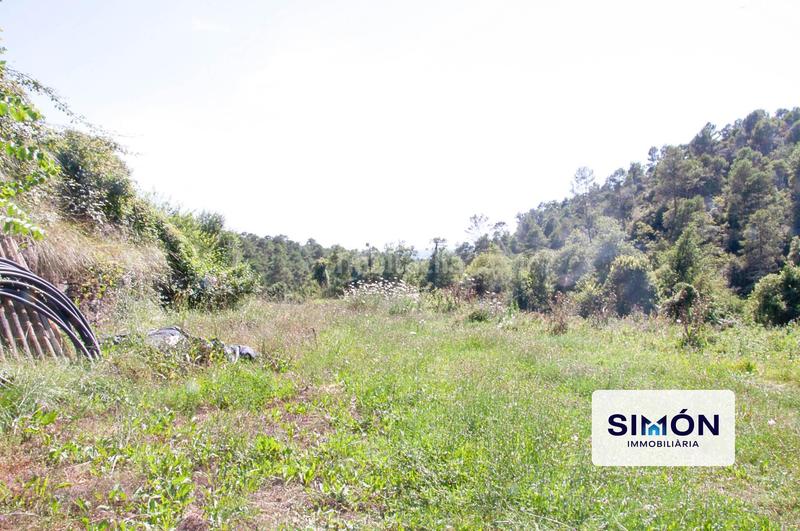 Foto 5c437568-19c5-4723-b9f4-a5ee340df198. Bauernhof mit parking in Gaià