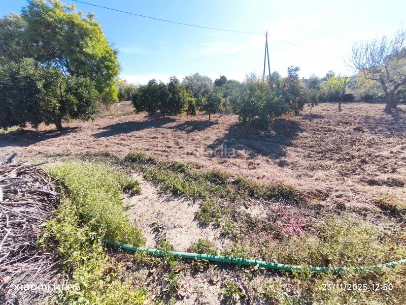 Foto 02c2181c-1849-4ee9-b1bf-4d4144dee864. Finca rústica en lugar huerta de abajo 171 huerta de recreo en Molina de Segura