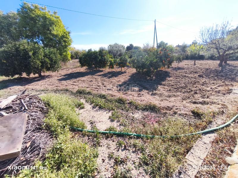 Foto 2bbd436a-07e5-4a64-8905-c35cd34435c9. Finca rústica en lugar huerta de abajo 171 huerta de recreo en Molina de Segura