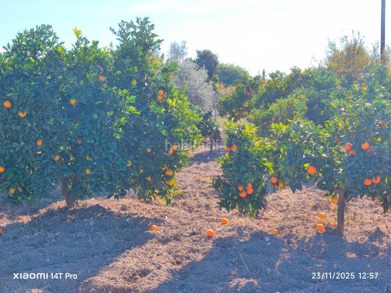 Foto 314595a2-69c9-4d67-87b5-017d6e9a85c1. Finca rústica en lugar huerta de abajo 171 huerta de recreo en Molina de Segura