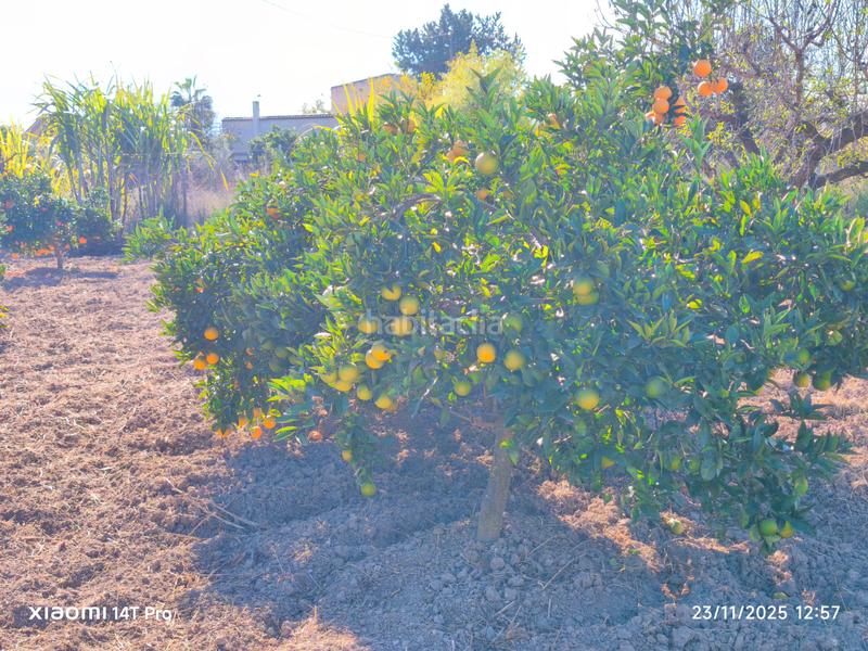 Foto 7d029568-00cb-4c3d-9ac8-0fcd994bd385. Finca rústica en lugar huerta de abajo 171 huerta de recreo en Molina de Segura
