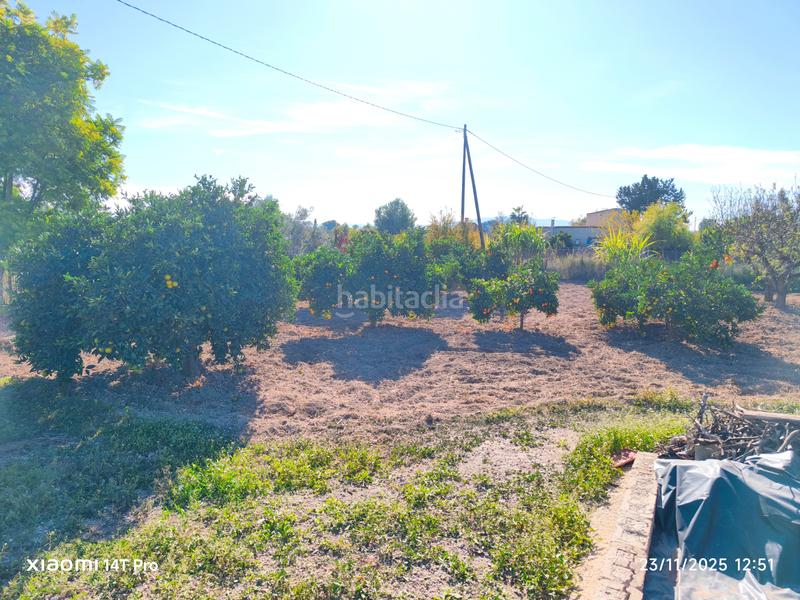 Foto bc8d3a41-123b-4524-8584-23723f326fef. Finca rústica en lugar huerta de abajo 171 huerta de recreo en Molina de Segura
