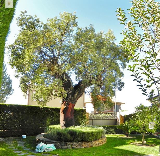 Foto af58d1dc-4617-43bd-bbad-d8532d2d5c48. Chalet mit heizung pool in Ruta de la Plata Cáceres