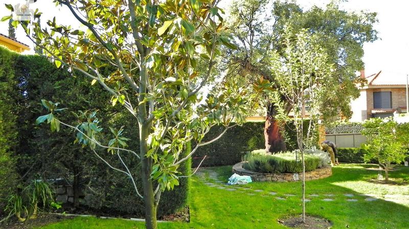 Foto ec90595c-8de1-426f-b8e2-f68720cbfe1c. Chalet mit heizung pool in Ruta de la Plata Cáceres