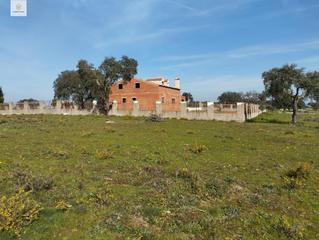 Finca rústica a Ruta de la Plata. Se vende terreno en ctra. badajoz en paraje ramogil