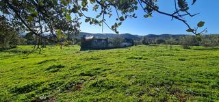 Finca rústica a Espiel. Venta de terreno junto a puerto calatraveño