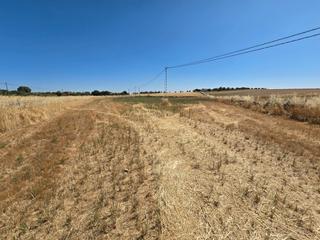 Finca rústica a N/a 12/56. Venta de terreno en dos torres