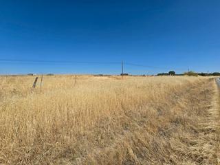 Finca rústica a N/a 12/56. Venta de terreno en pozoblanco