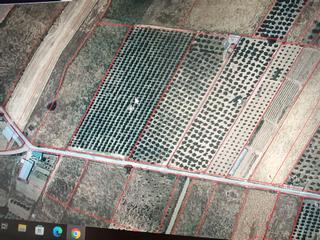 Propriété à Calle ayuntamiento 25. Venta de terreno en guadalmez