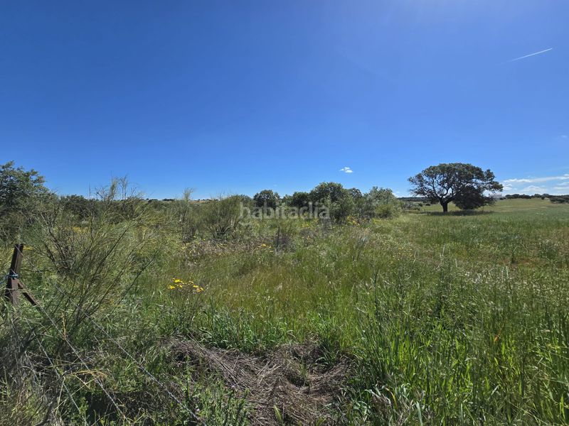 Foto c832edf0-0ae6-4234-a7fb-e0fa2559ae6c. Finca rústica a Añora
