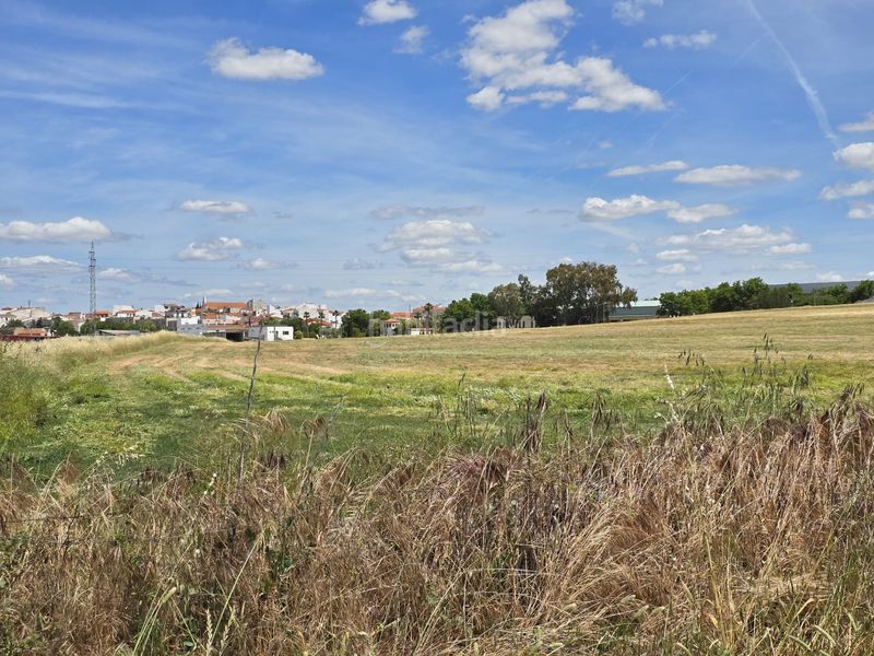 Foto e6c1cda5-4c4a-458c-8e8d-7bfc32039663. Finca rústica a diseminado e41 7 a Pozoblanco