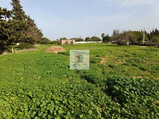 Finca rústica a Los Franceses - La Vega. Parcela en pinar de los franceses