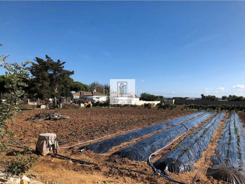 Foto a583de36-6d98-4d69-b71f-0e11a226ddb8. Xalet amb xemeneia aparcament piscina a La Barrosa Chiclana de la Frontera