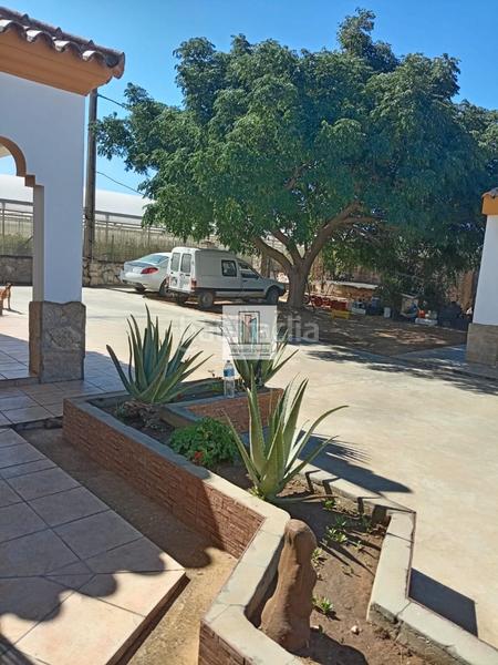 Foto 61a312f6-459c-4b12-9ae8-58de6c17f3bf. Landgut in Pelagatos - Pago del Humo Chiclana de la Frontera