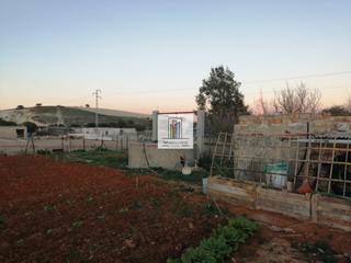 Finca rústica a La Banda - Campo de Fútbol. Gran finca segregada